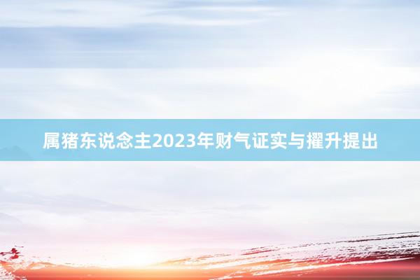 属猪东说念主2023年财气证实与擢升提出